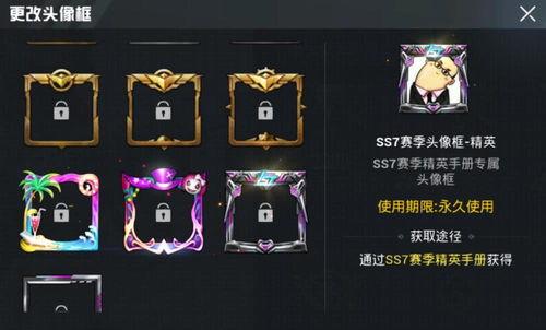 吃鸡最新赛季手册爆料图,全新爆料图解析  第2张