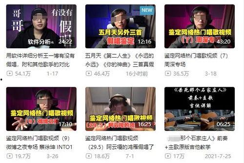 二辰粉丝爆料事件视频完整版,完整版视频揭秘真相与争议  第1张